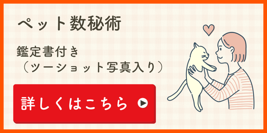 ペット数秘術占い　相性鑑定