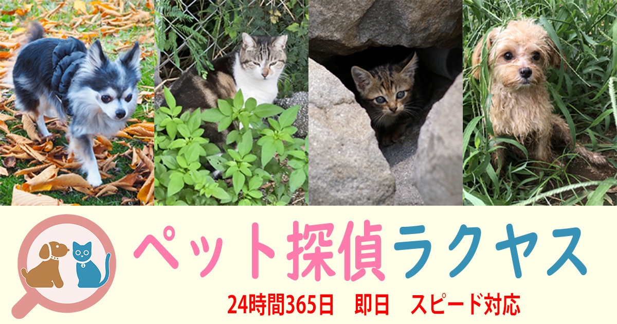 ペット探偵ラクヤス